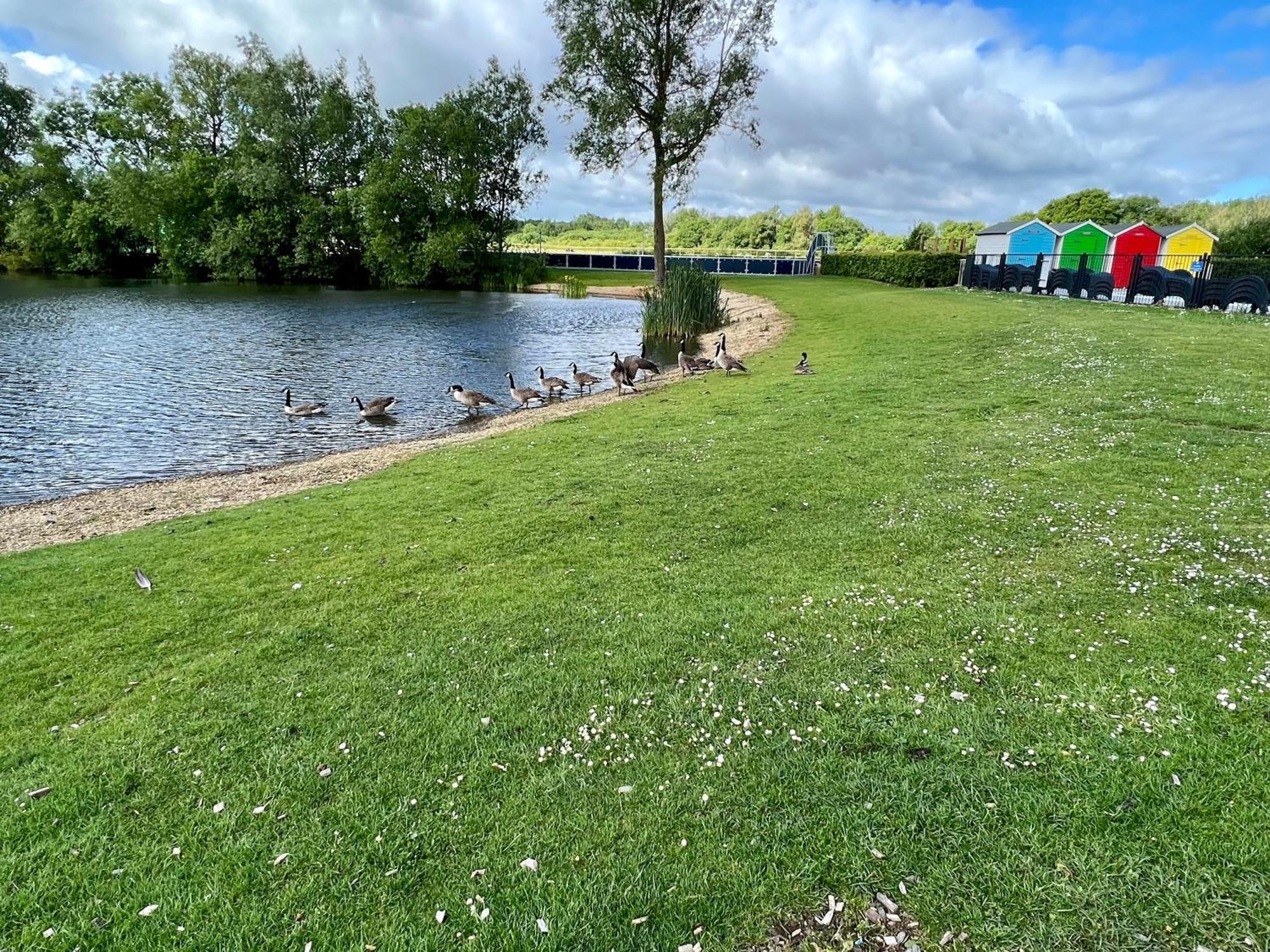 Bluebell Lodge, Dog Friendly South Cerney Exterior photo